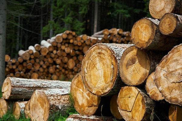 Oshkosh's Top Wholesale Lumber Supplier for Businesses